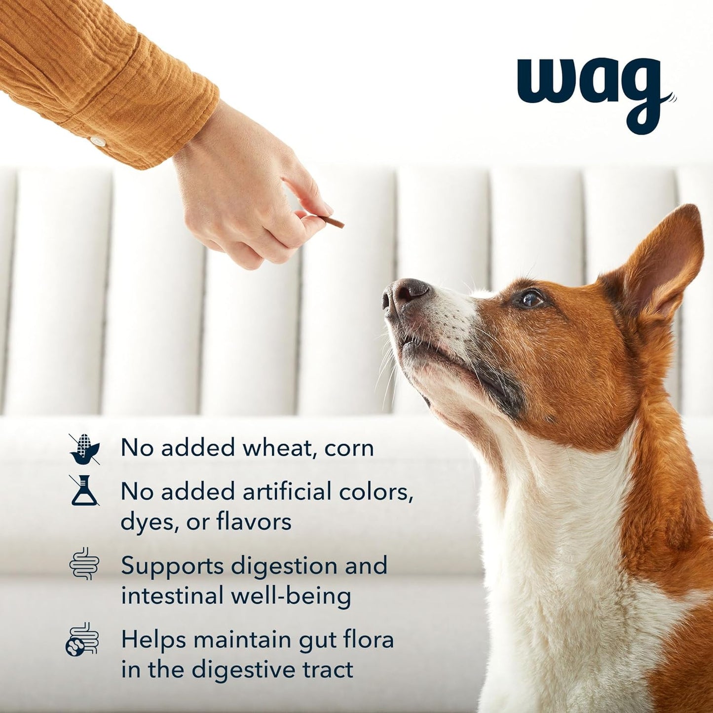 Amazon Brand - Wag Probiotic Supplement Chews for Dogs, Supports Digestive Health and Gut Flora, Natural Duck Flavor, 160 Count, Pack of 1