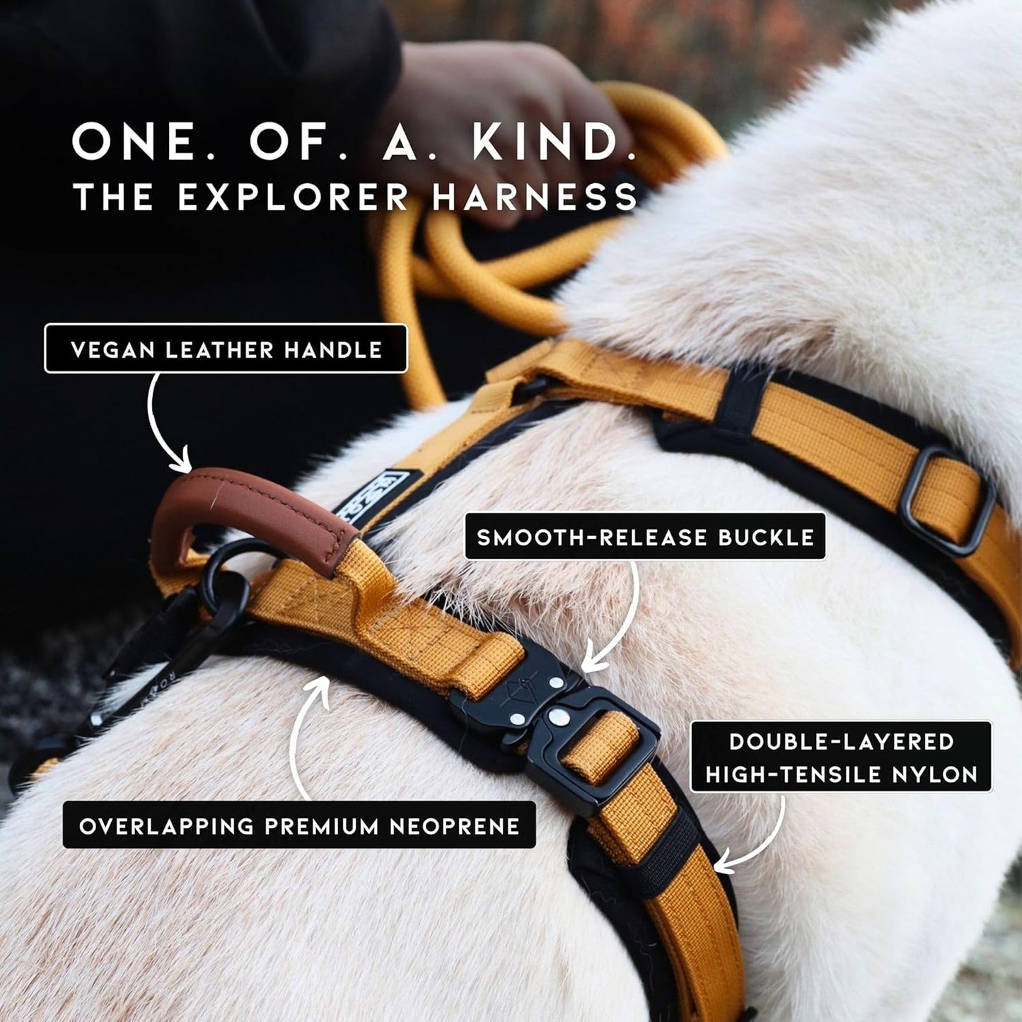 MADE TO ROAM Premium Explorer Harness - Y-Shaped Dog Harness with Adjustable Durable Nylon, Soft Padding, Metal Buckles and Leather Handle for Small, Medium, Large Dogs (Virginia Mountains, Size 6)