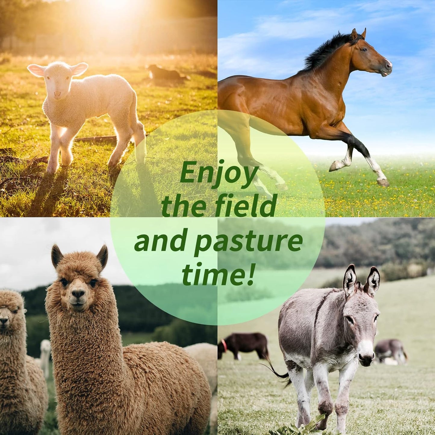 17 Inch Horse Play Ball - Anti-Burst Herding Ball for Play & Training