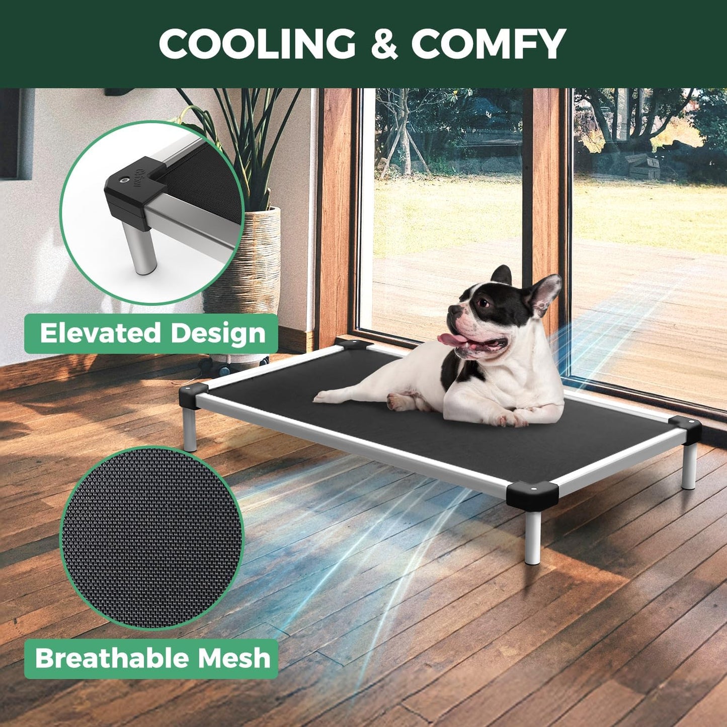 FXW TitanNest Chew-Proof Elevated Dog Bed, Raised Cot for Indoor/Outdoor/Camping Use, Durable & Waterproof Cooling Pet Bed for Medium Dogs, 42.0" L x 27.0" W x 5.0" H, Black