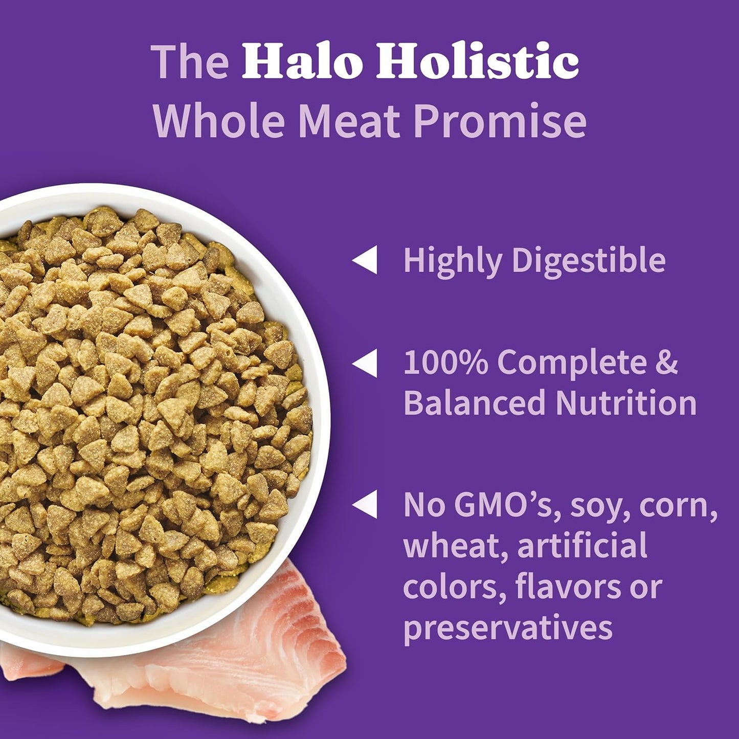 Halo Holistic Cat Food Wild Caught Salmon & Whitefish Formula, Healthy Grains Dry Cat Food, For Sensitive Stomach Support, Kibble for Adult Cats, 6 lb Bag