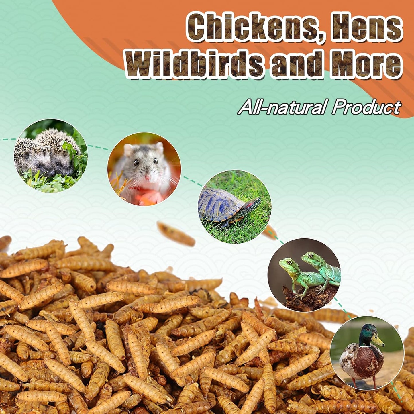 Dried Black Soldier Fly Larvae, 85X More Calcium Than Mealworms High-Protein BSF Larvae Chicken Treats Non-GMO BSFL for Chickens, Hens, Ducks, Wild Birds 5LBS