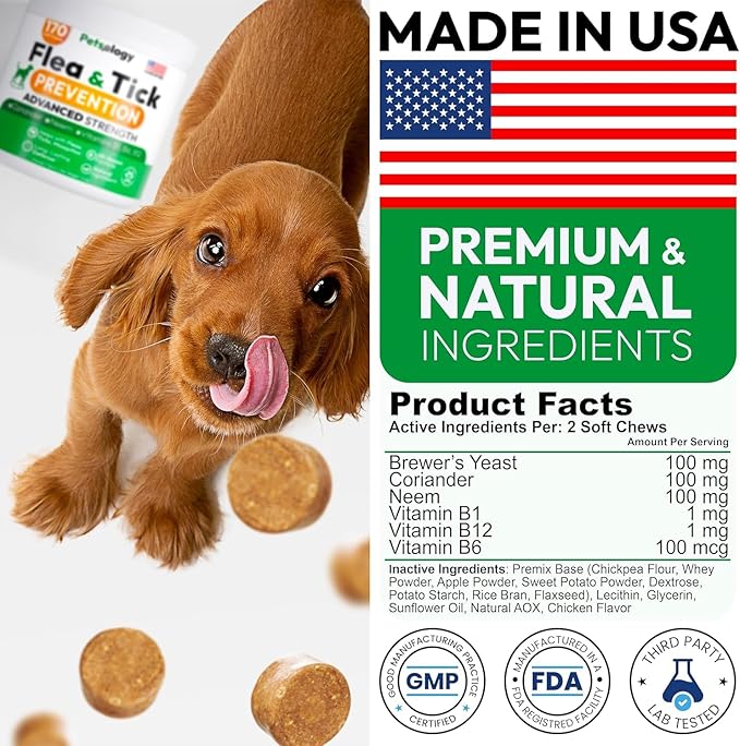 (2 Pack) Flea and Tick Prevention for Dogs Pills - 340 Chews - Natural Dog Flea & Tick Control - Oral Defense Treatment for Dogs Supplement - Vet Formulated - All Breeds & Ages - Made in USA