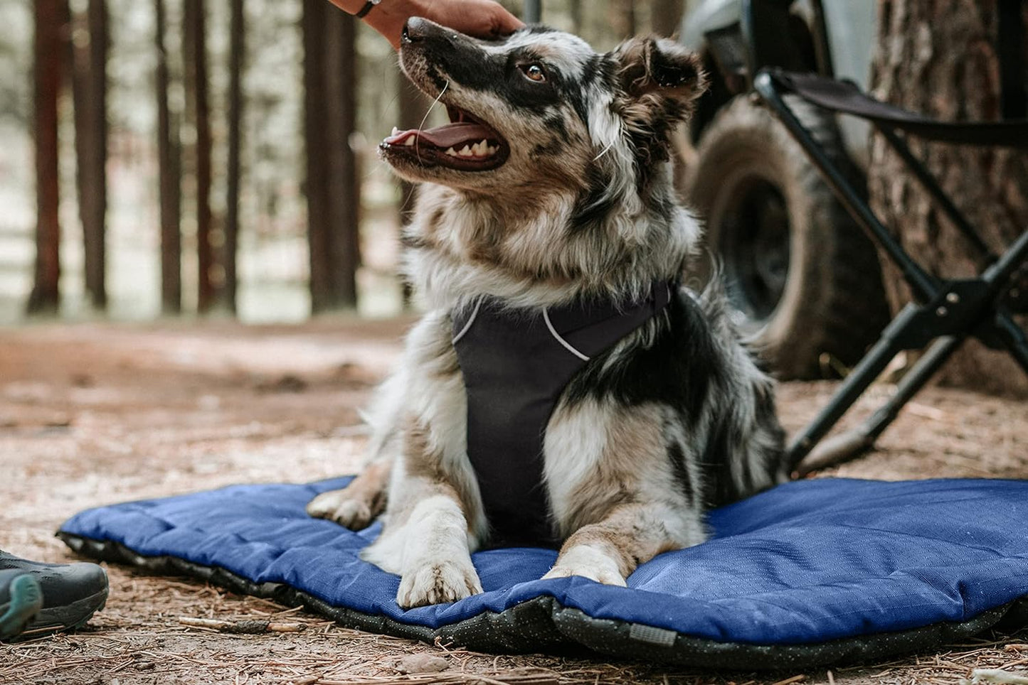 K9 Ballistics Tough Ripstop Dog Crate Pad - Durable & Machine Washable with Non-Skid Bottom and 120-Day Warranty, Fits 36" Wire Crates - Medium, Blue Quartz