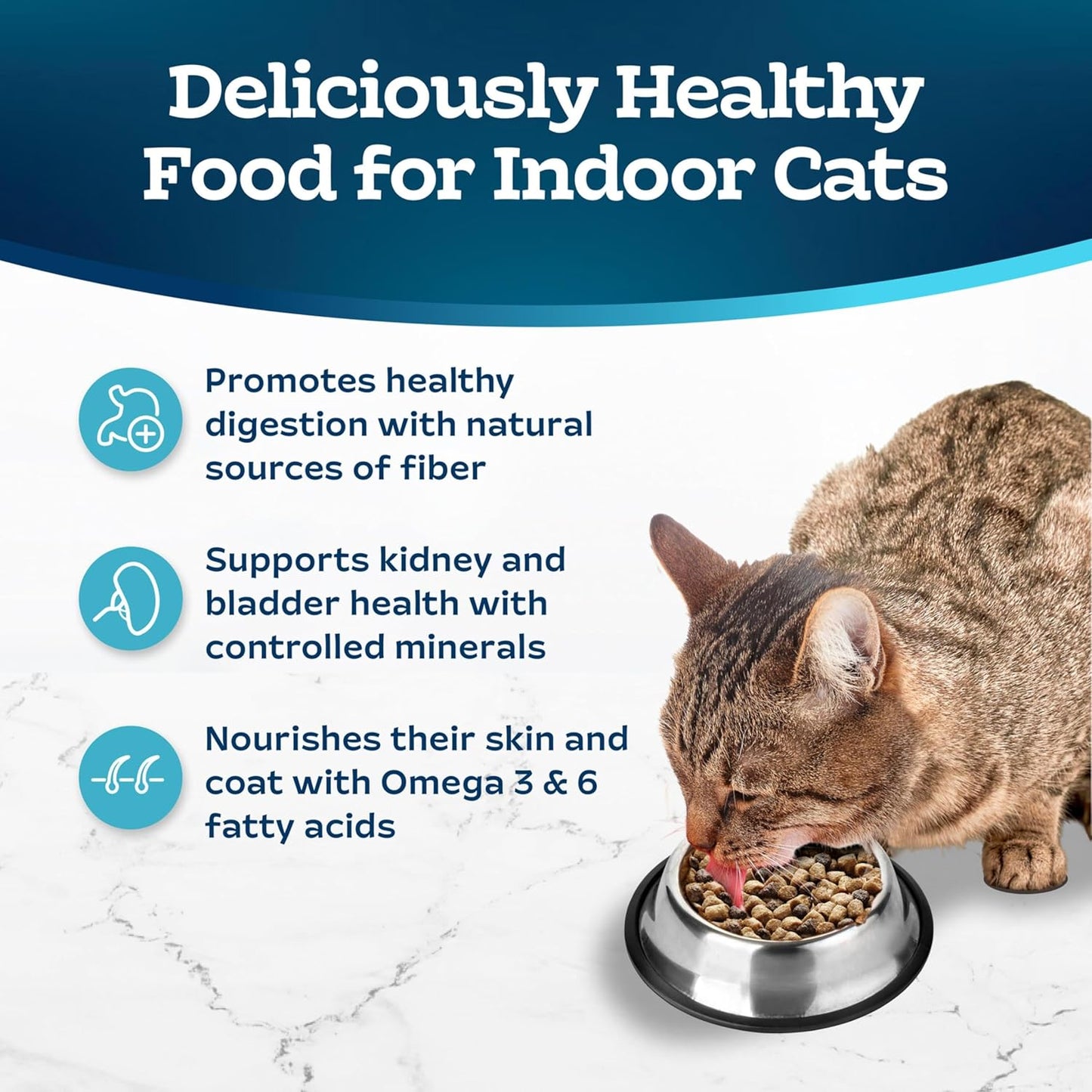 Blue Buffalo Tastefuls Indoor Natural Adult Dry Cat Food, Salmon & Brown Rice 10lb Bag