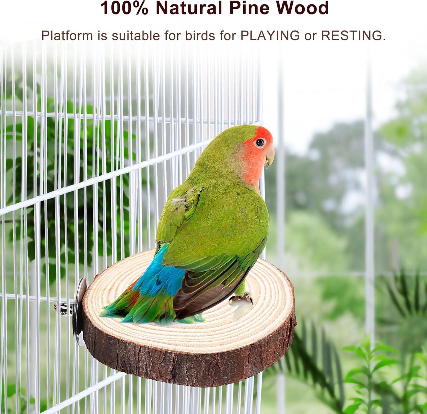Mogoko 5PCS Bird Perch Natural Wood Grape Stick Stand, 3 Grape Stick Paw Grinding Fork Parakeet Chewing Stick 2 Parrot Stand Branch, Chewing Exercise Branches Bird Cage Accessories