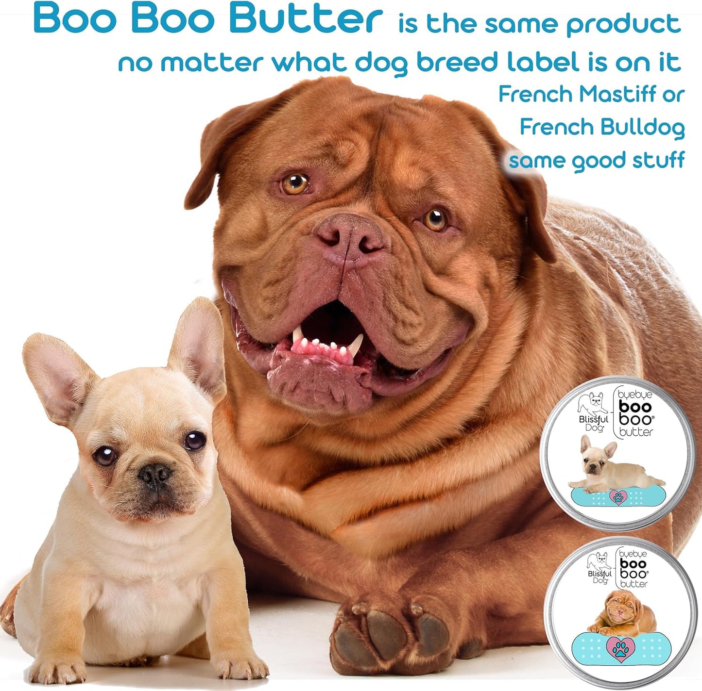 The Blissful Dog 2 oz TIN Dogue De Bordeaux Booboo Butter